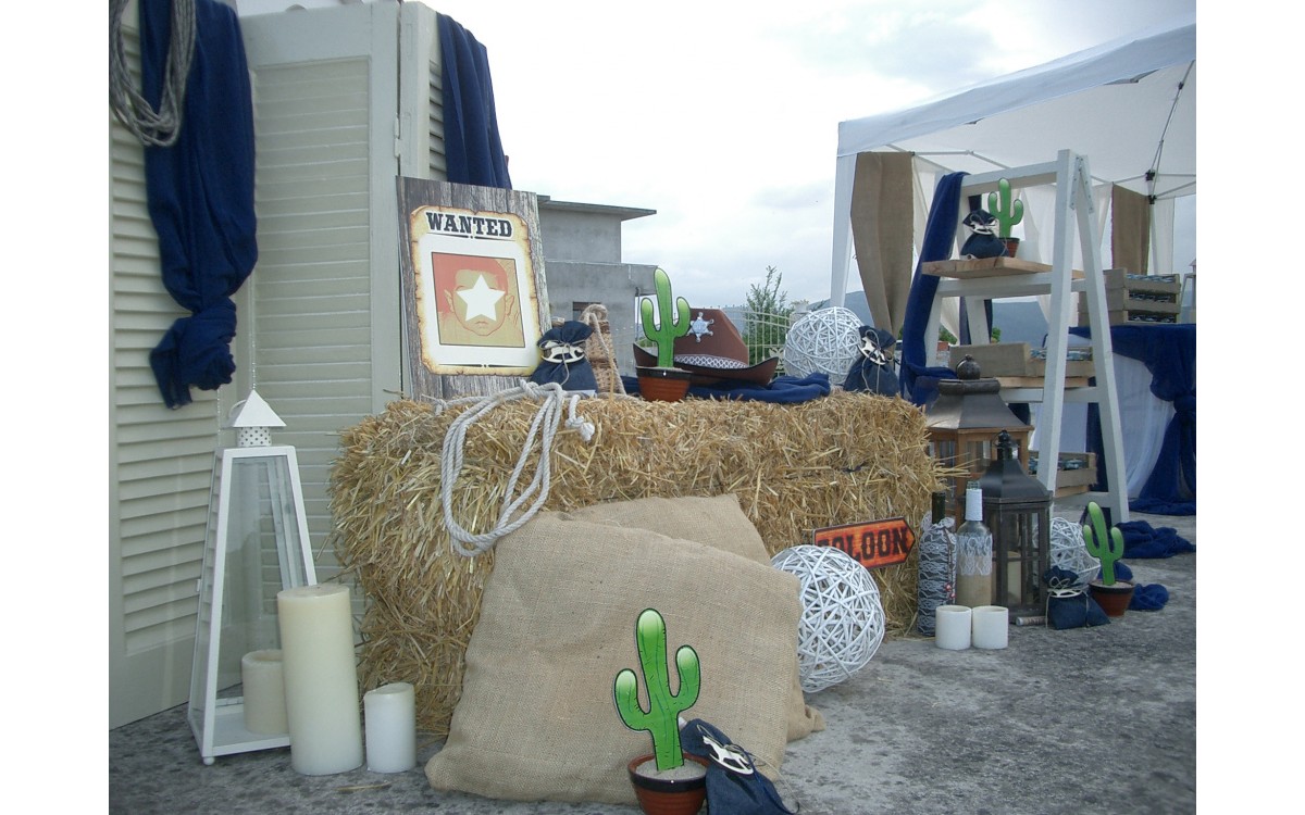Cowboy 112